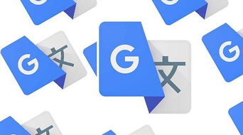 證件翻譯的重要注意事項