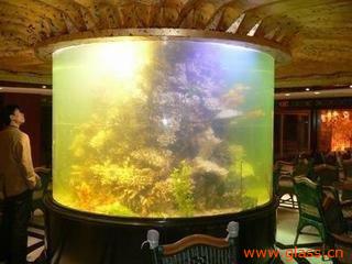 福州圓缸選購指南 價格、廠家與水族箱推薦