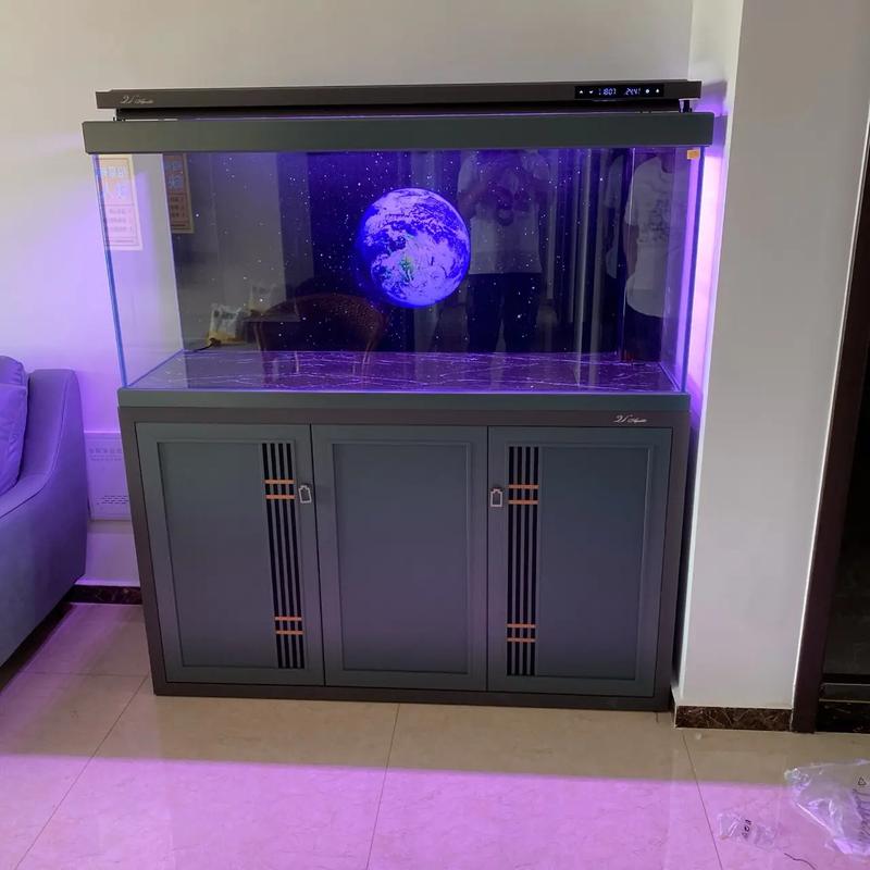 定州市南城區尹家莊 專業水族箱批發，打造水族愛好者首選地