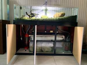 超白缸生態(tài)草缸 最新價(jià)格與選購(gòu)指南