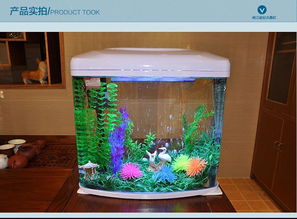 創(chuàng)意生活新體驗(yàn) 閩江寶來金鉆小型超白玻璃水族箱