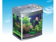 貴陽魚缸批發(fā)一站式解決方案 打造專業(yè)水族生態(tài)